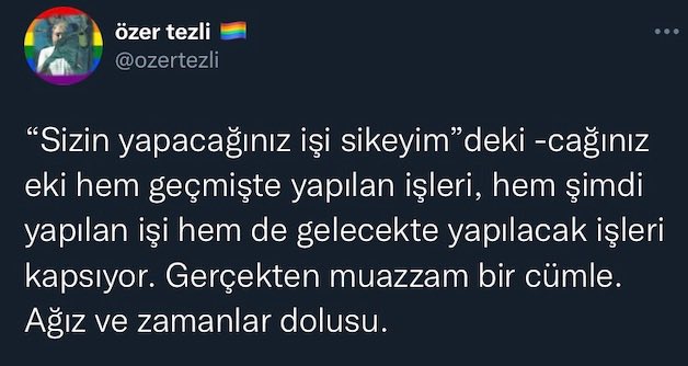 aylinvemp tweet media