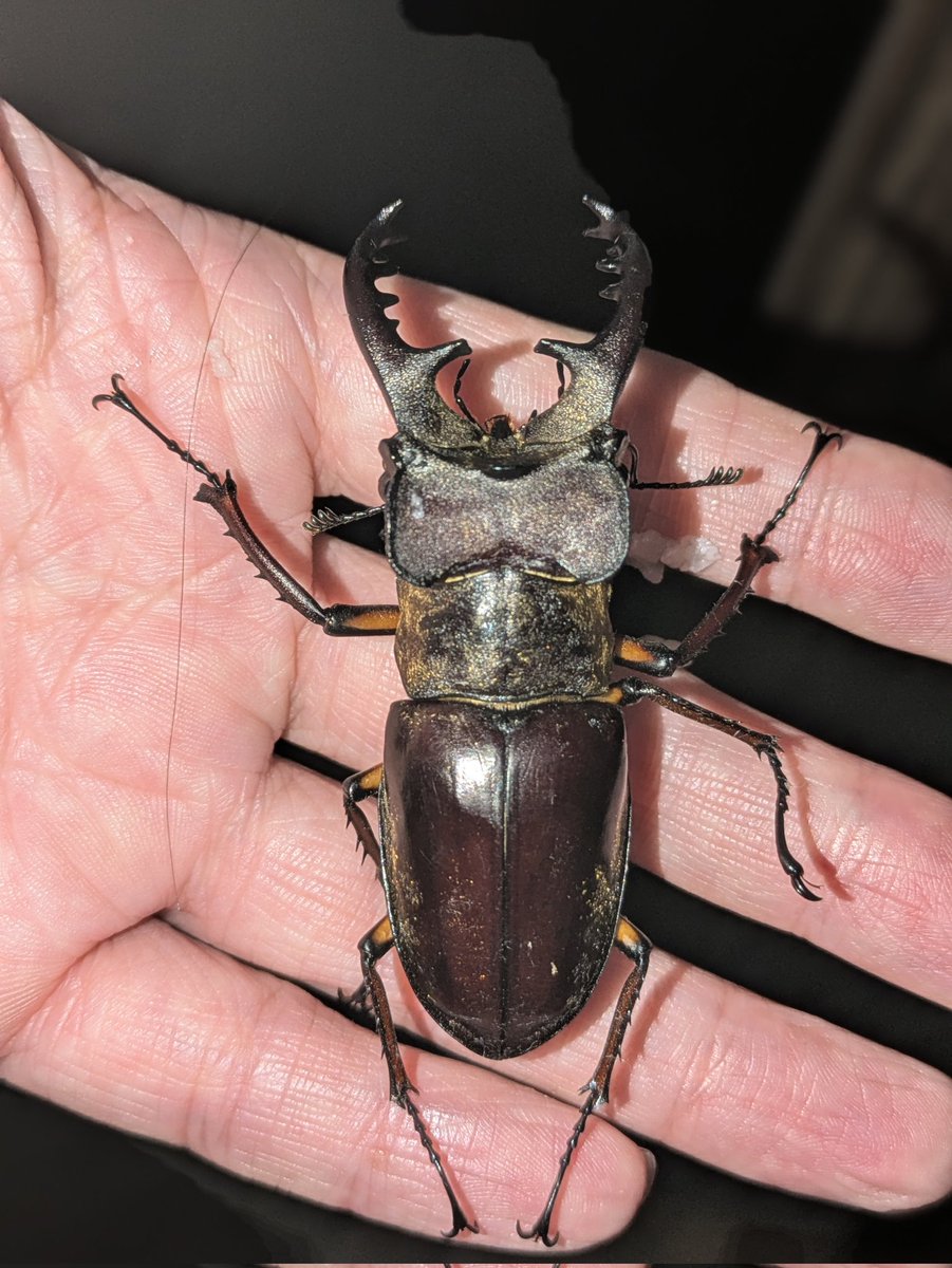 まさやん (@masayan59896607) / Posts / X