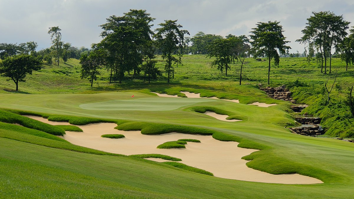 Curley-Wagner Golf Design tweet media