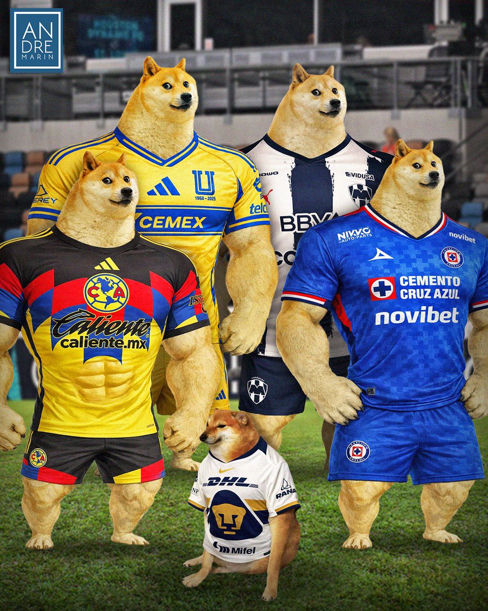 Andre Marín tweet media