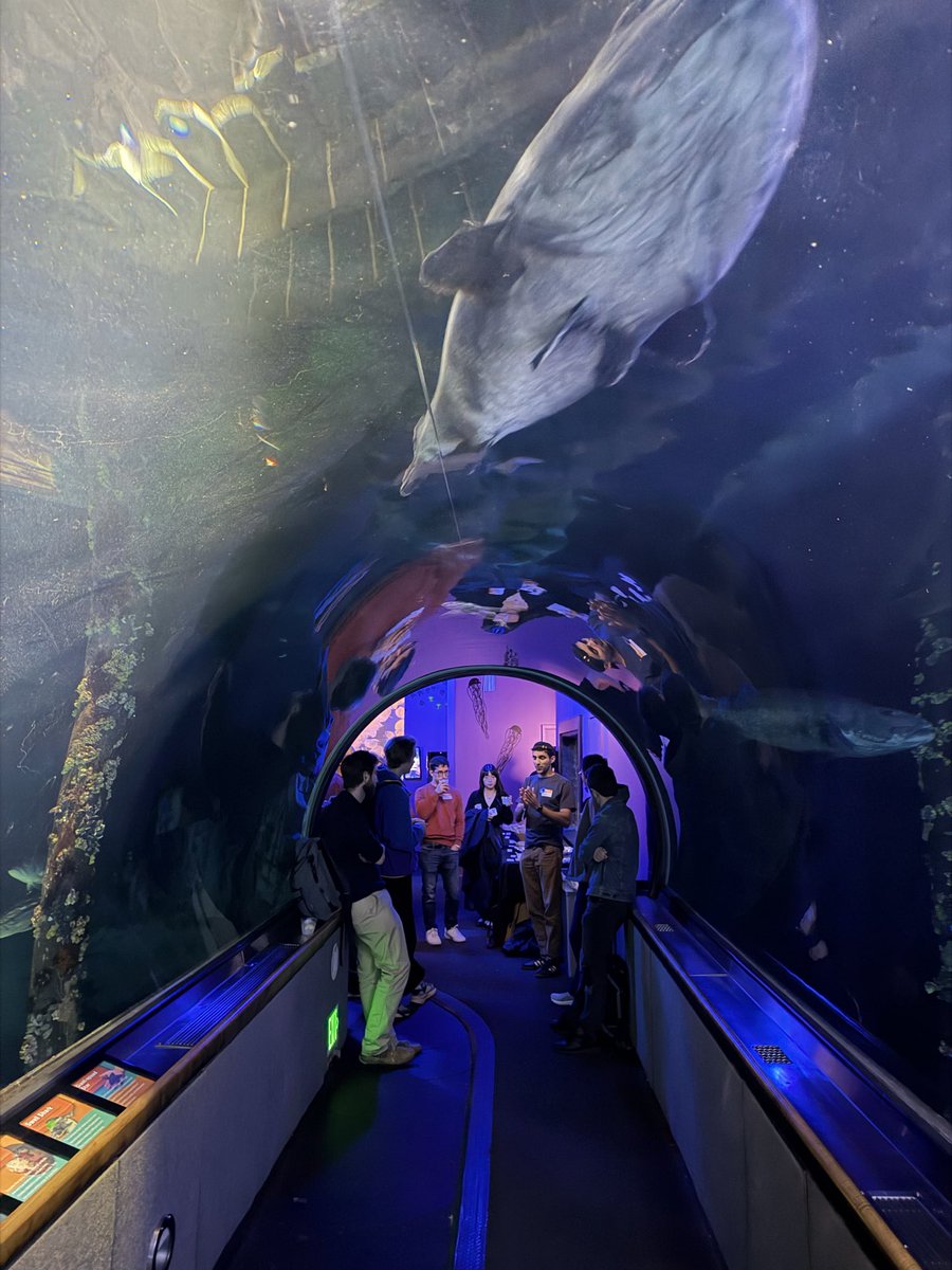 Will Kenney tweet media