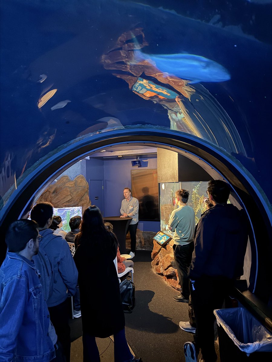 Will Kenney tweet media