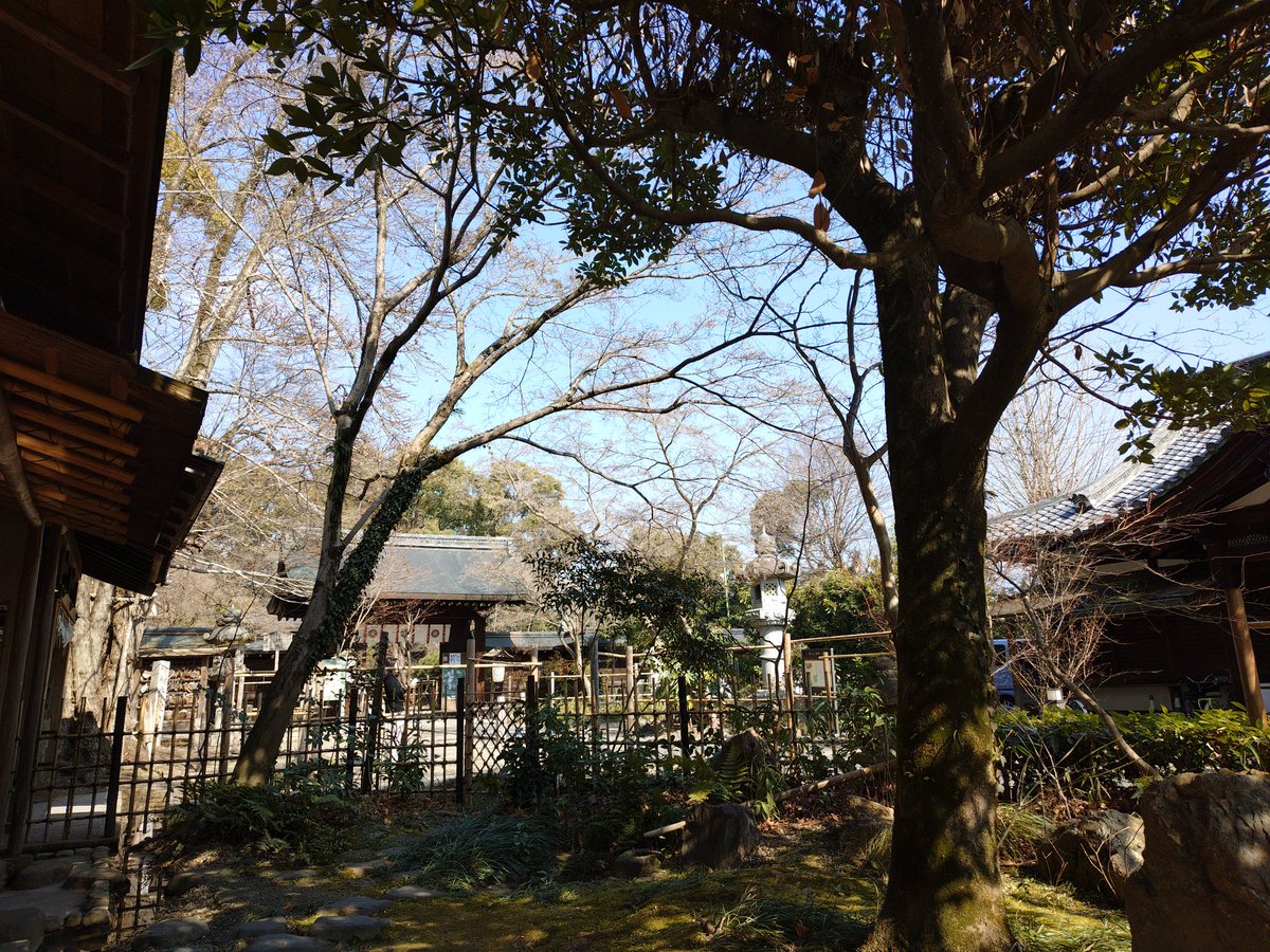 kujira_chisato's tweet photo. #梨木神社 #染井の井戸 #cafebase #抹茶ラテ
梅は咲き始め。染井の井戸のお水はスッキリ柔らかで美味しかった。
井戸の維持協賛金100円。もちろん協賛させていただきますとも。
手持ちのペットボトルにお水もらった。 https://t.co/SaAOizuQfl