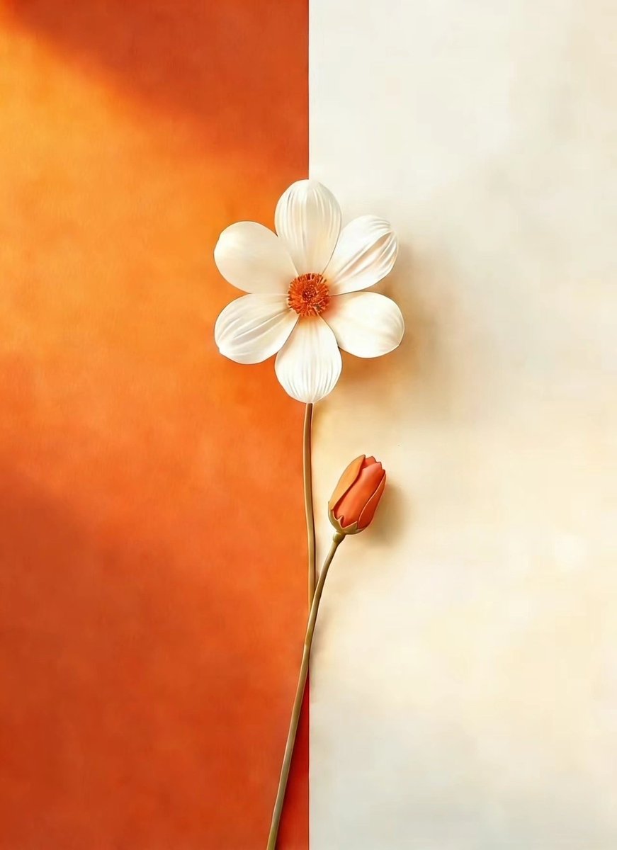 Love life (@zqyjbjfqj6ocagd) on Twitter photo 