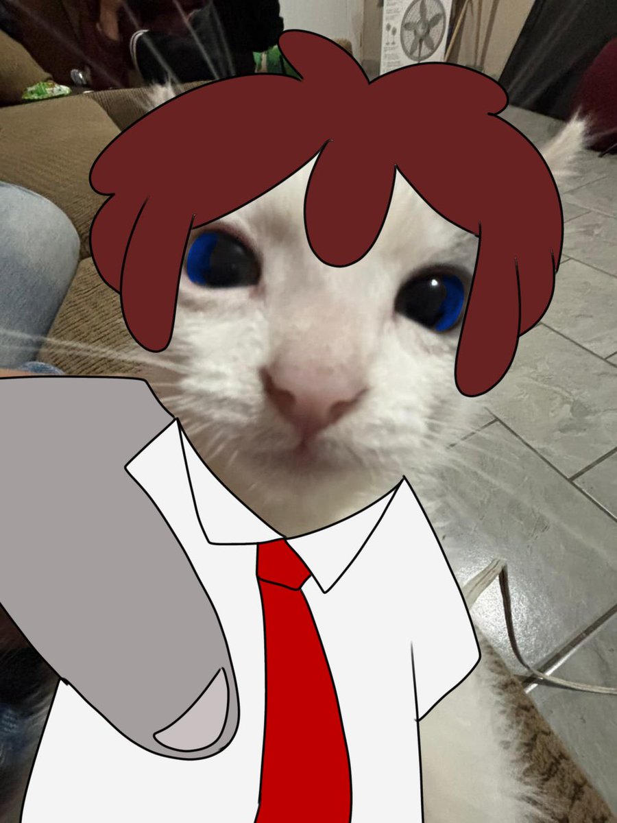 LafargaSerenity's tweet image. Le hice un fnafhs a mi gata porque me dio risa