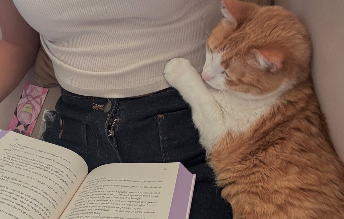 Emilymunozd's tweet photo. Mi novio dice que Milo es mi hijo favorito, pero él no entiende nuestra vibra https://t.co/svBFL4Go2a