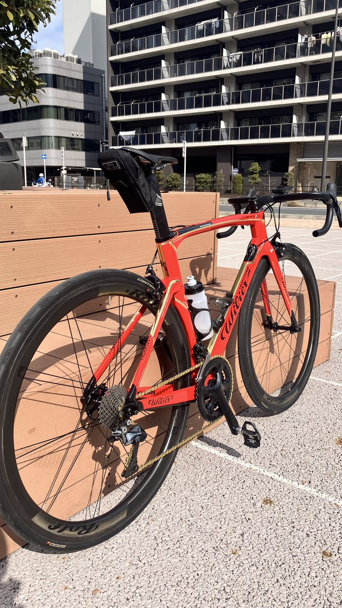 velcent0's tweet photo. Wilier Cento 1 Air ロッソ・コルサ/ゴールド
納車しました！
某高級車と同じカラーで本国特注塗装された世界に一本だけのフレームです！
これで大学生活爆舞していきます！！ https://t.co/iMh1cVF1fN