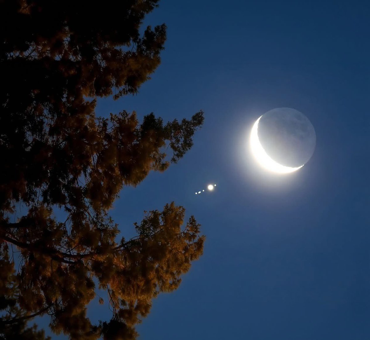 forallcurious's tweet photo. 🚨: You’re looking at 4 worlds orbiting another world.

Next to our Moon.

All from Earth.

Let that sink in. 🌌 https://t.co/uhccbsujfd