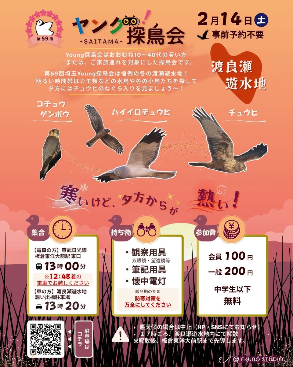 【Young探鳥会】
明日、2/14(土)は埼玉Young探鳥会渡良瀬遊水地！
暖かくて天気も良くて、鳥見日和になりそうです☀️
冬のカモ類、そしてチュウヒたちのねぐら入りを見に行きましょう🦆🦅