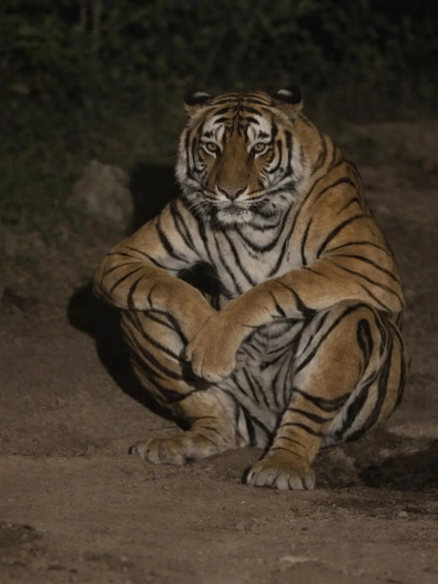 Si vas a hacer ese tipo de cosas, mejor no publiques nada