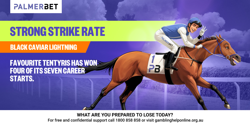 Palmerbet mobile app interface