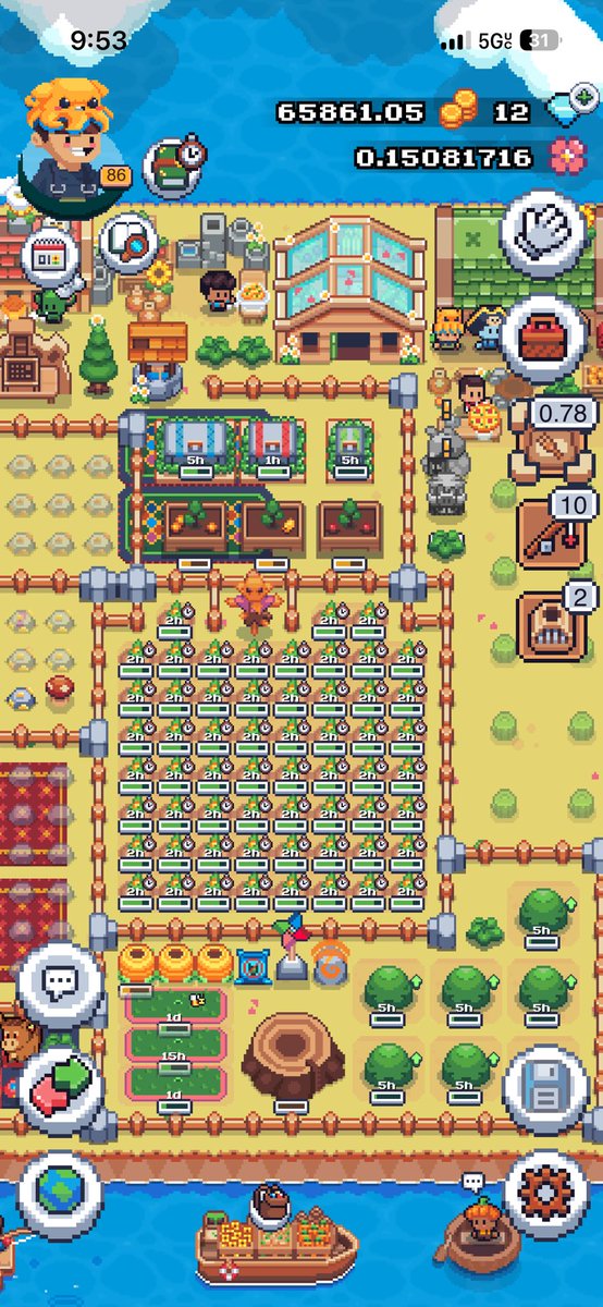 joelundine's tweet photo. #SunflowerLandFarm https://t.co/dRiB6BpOm9