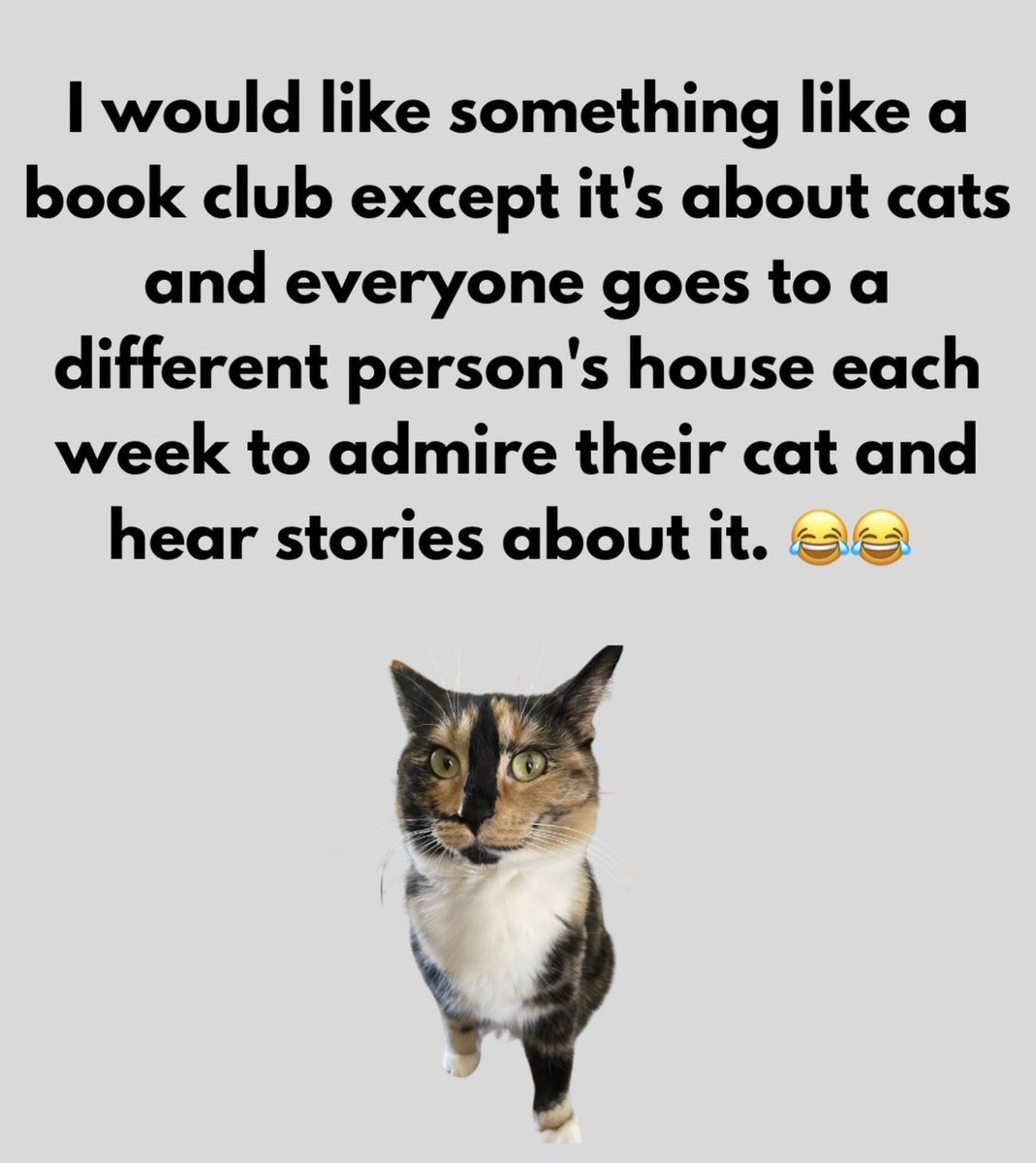 🐛🌷Dean🦋🪴 tweet media