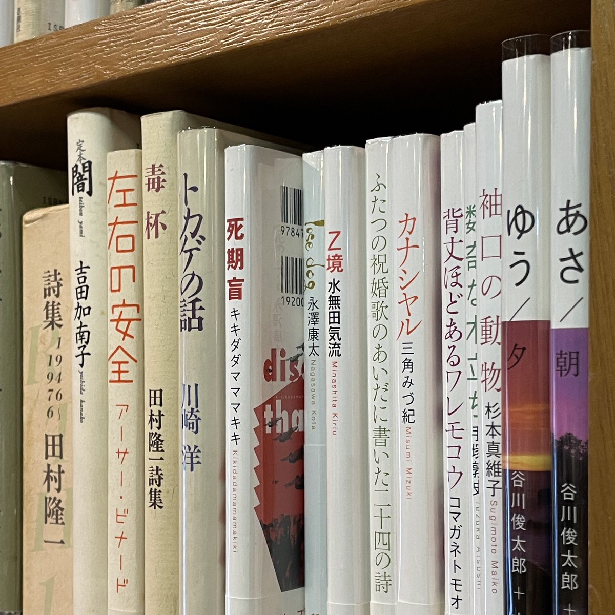 新しめの詩集、
まとめて並べてみました📚

OPPカバーを掛けよう
とすると分かるんだが、
白を基調にしたデザインと、
微妙に定型規格と違うサイズが
やっぱり多いなあ、詩集

#古本買取 #古本屋 #三重県 #名張 #古書からすうり