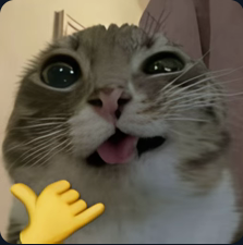 VVanhaider's tweet photo. @AvroraFoxy @Marz_secondlife @nezatraq literally me in every one of your screenshots :D https://t.co/K37LJvfIvo