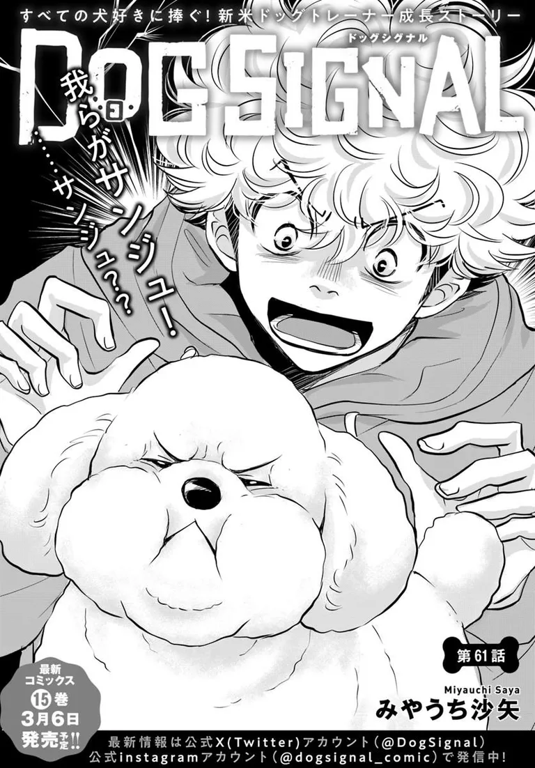 🔔更新情報🔔
『DOG SIGNAL』(作:みやうち沙矢@DogSignal)
第61話①を公開しました!
我らがサンジュ!……サンジュ❓どうぞお楽しみください!
https://t.co/Vvr74hnWP0
#カドコミ #コミックブリッジ #うちのこシグナル