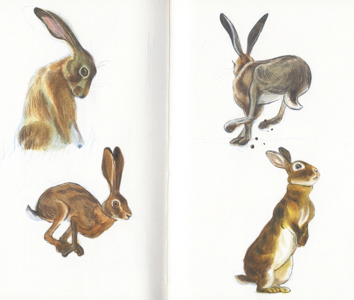 Insu Jo (@insujoart) on Twitter photo 