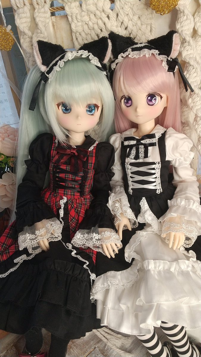 #アイコレプチ すずねちゃん
お誕生日おめでとう🎉🎂
うちのこは「あまね」ちゃん命名
相方の「クララ」ちゃんと仲良くしてます😊
#azone #アイリスコレクトプチ