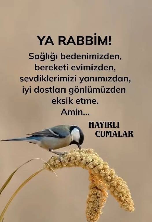 Cumanız mübarek olsun.Hayırlı cumalar