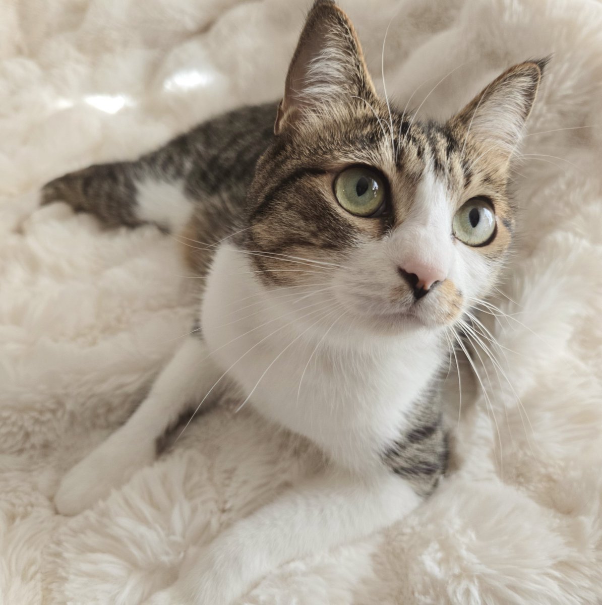 まりもちゃん！と🧌 (@marimo2021915) / Posts / X