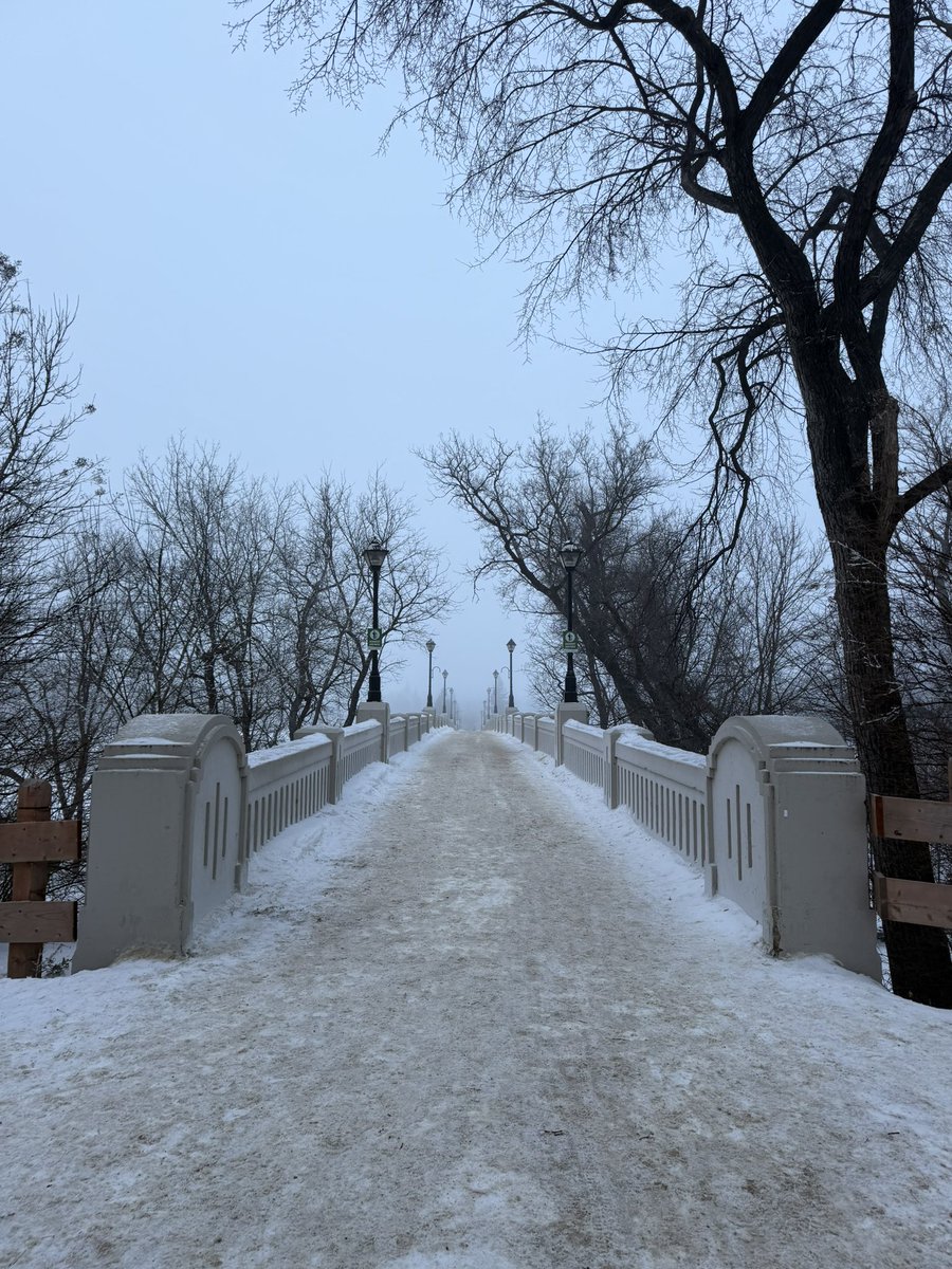 ica 🪅 tweet media