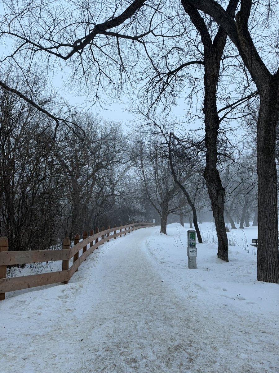 ica 🪅 tweet media