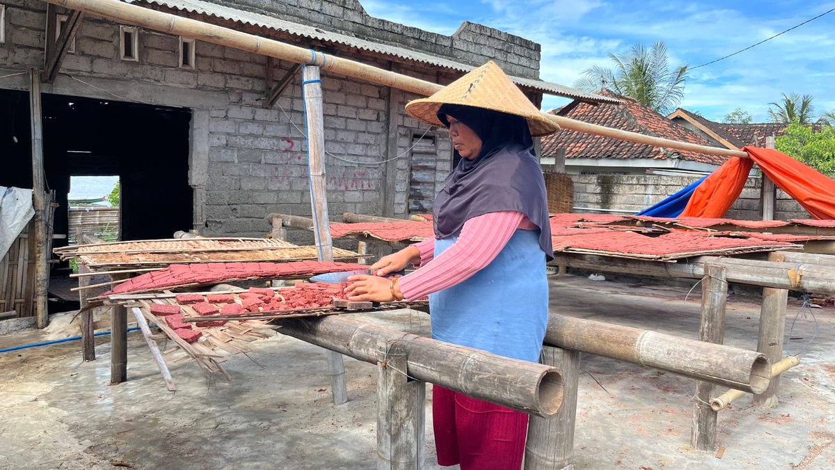 Mongabay Indonesia tweet media