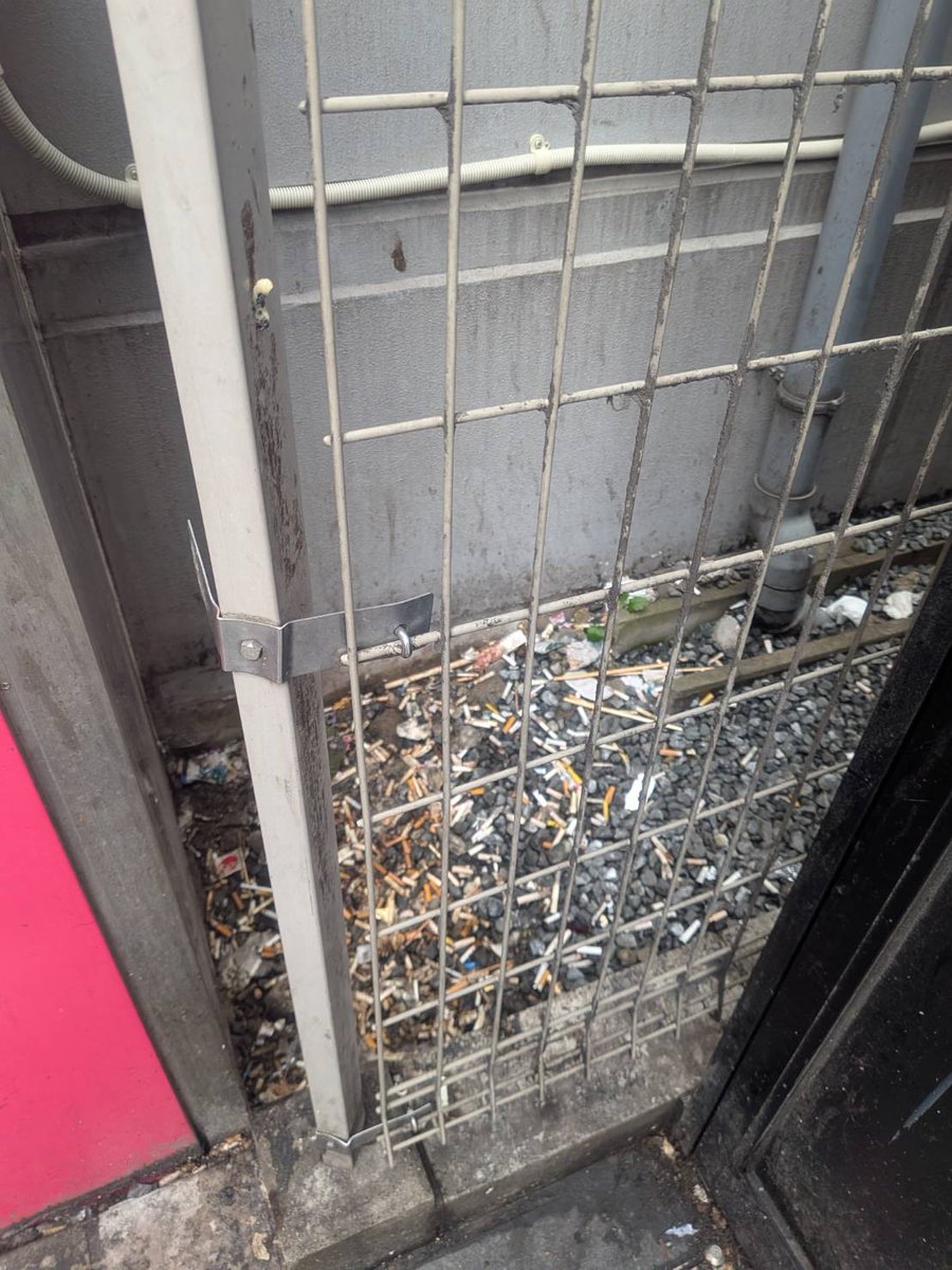 OsakaVolunteer's tweet photo. ＼ #環境 ／道頓堀を一緒に楽しく清掃しましょう！🗑

御堂筋から堺筋までの間を #清掃 します！

日時：3/7(土) 6:30-8:00
集合：ゼッテリア 戎橋店前（最寄：各線「なんば」）
募集先：Hands On Tokyo @Hands_On_Tokyo

詳細
☞ https://t.co/huD8OumNbP

#N324 #道頓堀 https://t.co/i1EHfOcvFE