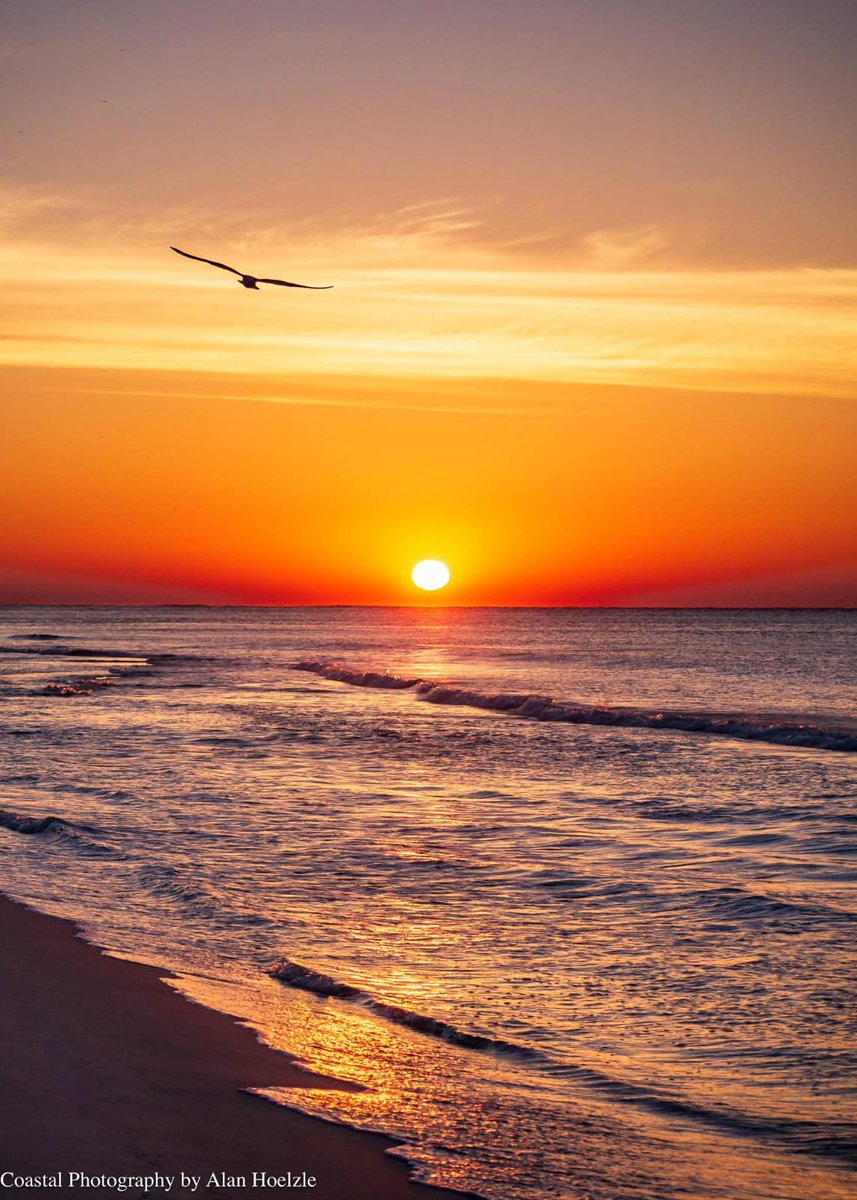 𝔦∂ΙЄGO tweet media