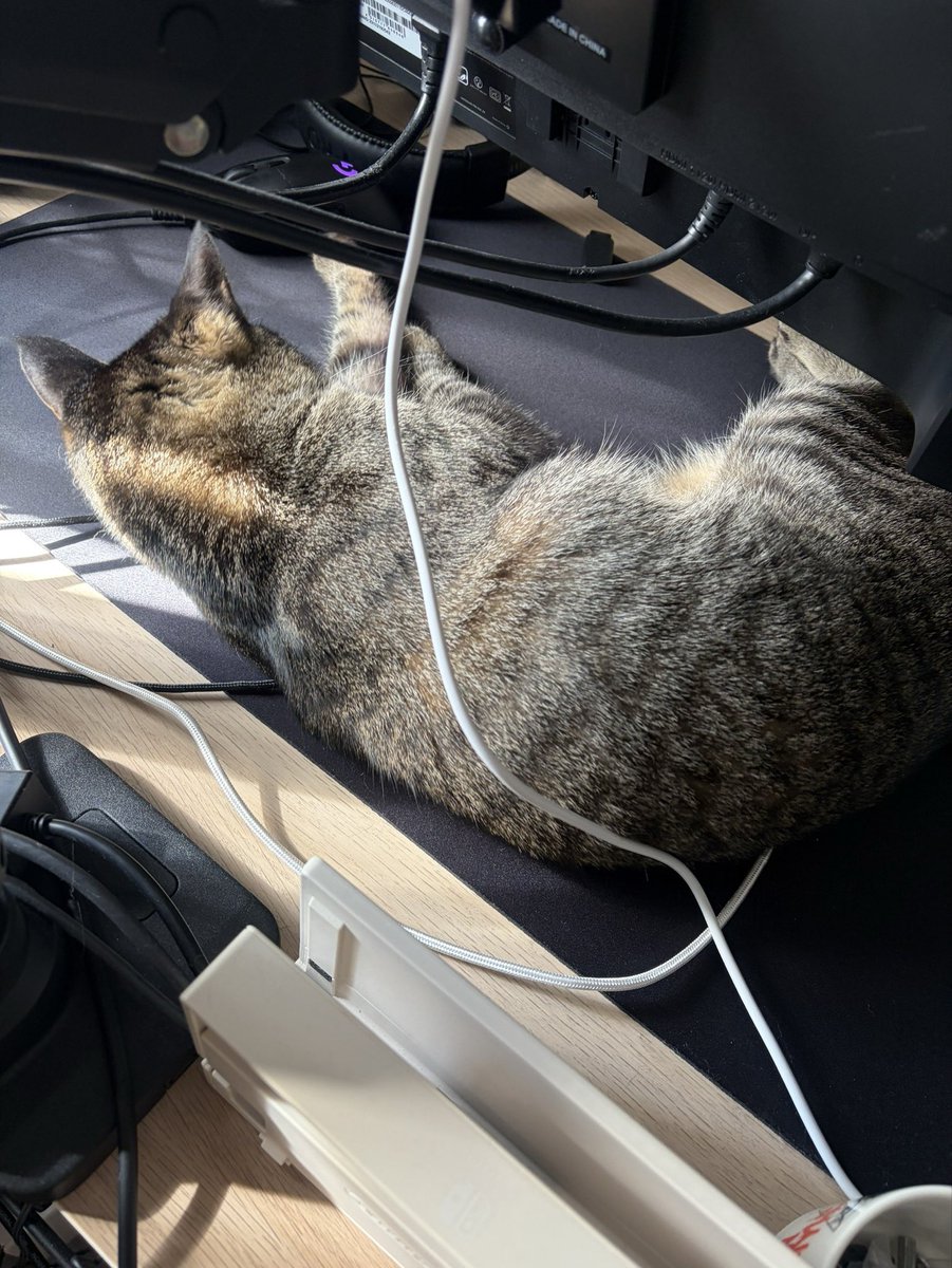 ge481's tweet photo. 買ったばかりのマウスパッドは猫様の爪とぎになったのでした😇 https://t.co/00fbypwhDN