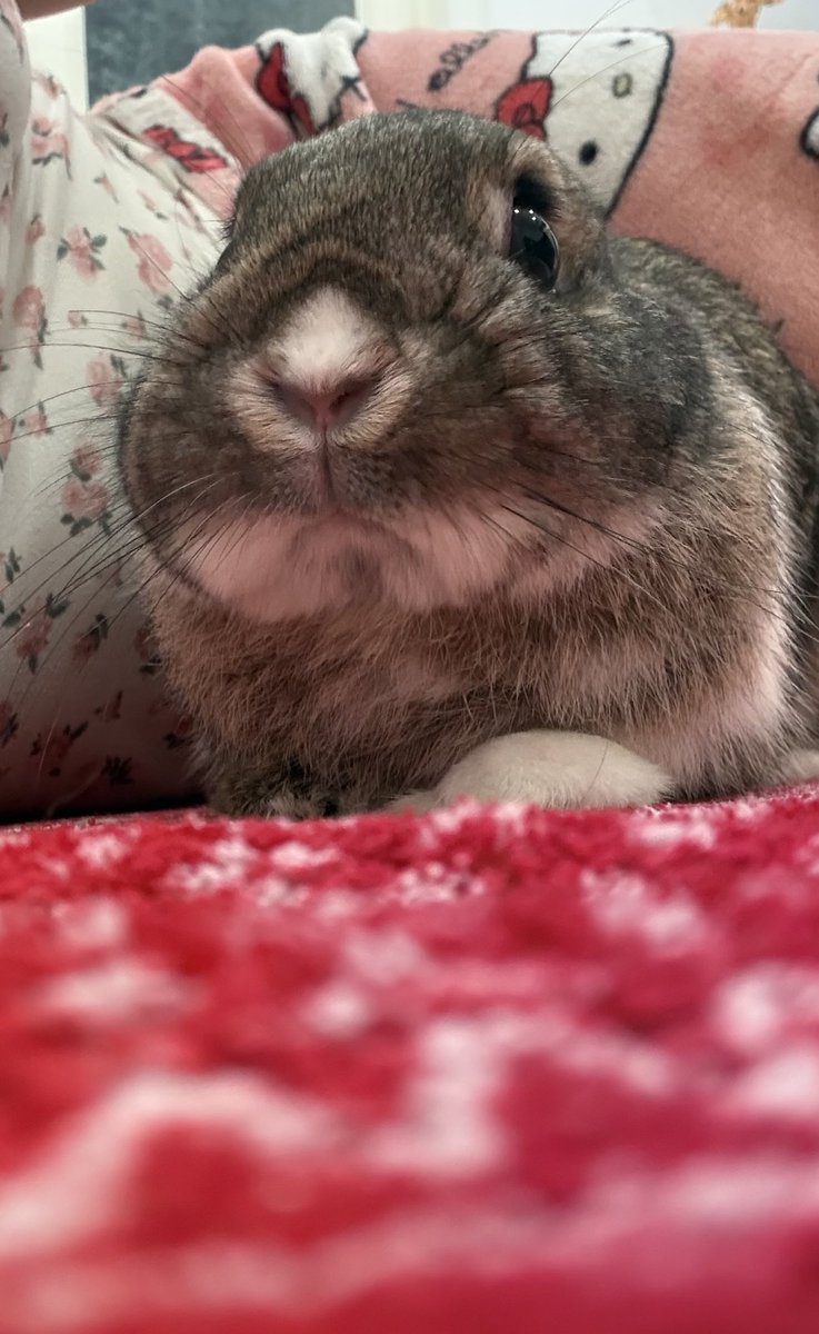 me hace tanta gracia verles las caras desde abajo

literalmente son esto :0<