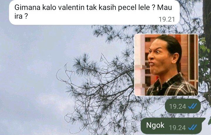 Pacarku malah mau ngasih pecel lele nder, mana semalem ditawarin lagi🙏🏻