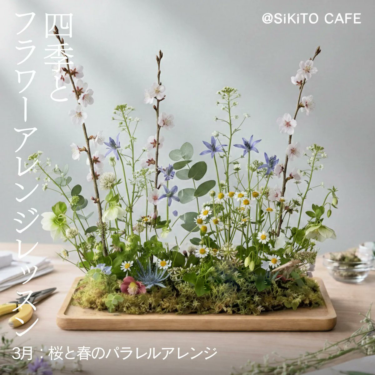 🌸フラワーレッスン開催のお知らせ🌸

SiKiTO CAFE（日本橋店／幕張店）にて、不定期開催のフラワーレッスン。3月は桜の枝ものを主役に、まるでお花畑のような「パラレルアレンジ」をつくります🌿

✔ 単発開催（はじめての方も歓迎）
✔ 手ぶらで参加OK
✔ カフェドリンク1杯付き ☕
