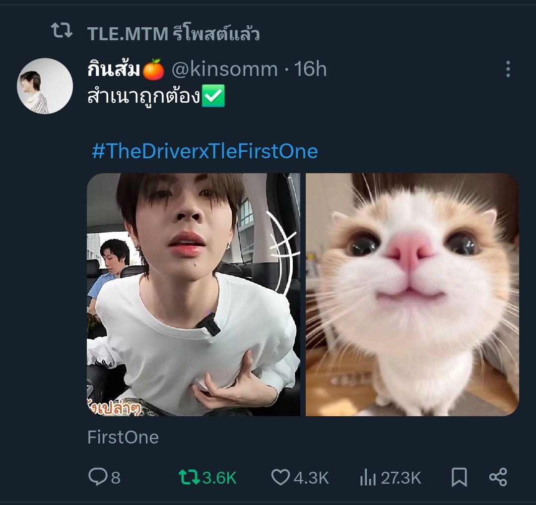 บ้านเบสแมวเด็กทำงานแต่เช้า ป้ายอมเลยย