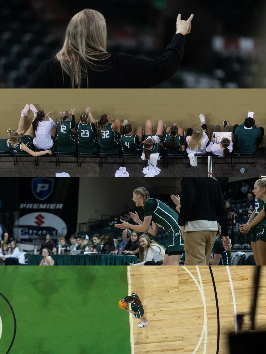 Bemidji State Hoops tweet media