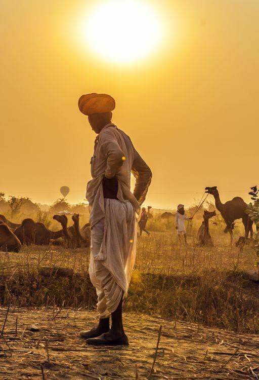 HumdardAlfaaz's tweet image. मैंने कभी किसी को अपनी जिंदगी से नहीं
हटाया । वो सभी विश्वास की दुर्घटना में मारे गए