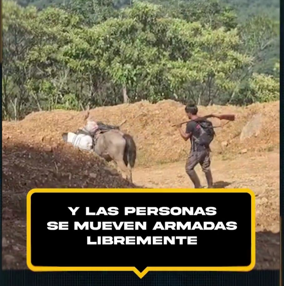 ¿Grabar a un campesino amazónico con una escopeta y un burro?
En una zona azotada por guerrilleros, mineros y militares abusivos del estado la comunidad campesina se protege.
Luego, por supervencia, en el campo se vive de la caza.
¿Quién cede los permisos de operaciones mineras?
