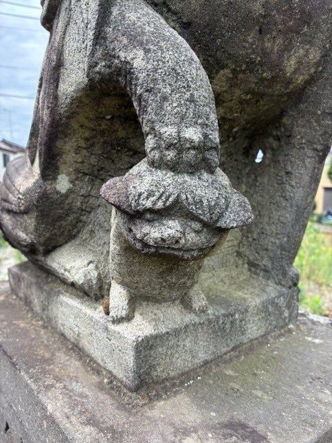 こいつ可愛すぎ