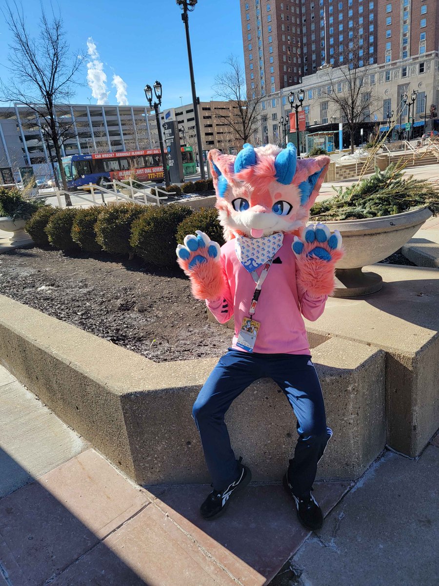 Big head, small brain
F2 was such an amazing con; I hope to be there next year! 

#FursuitFriday #furmony #FursuitEveryday