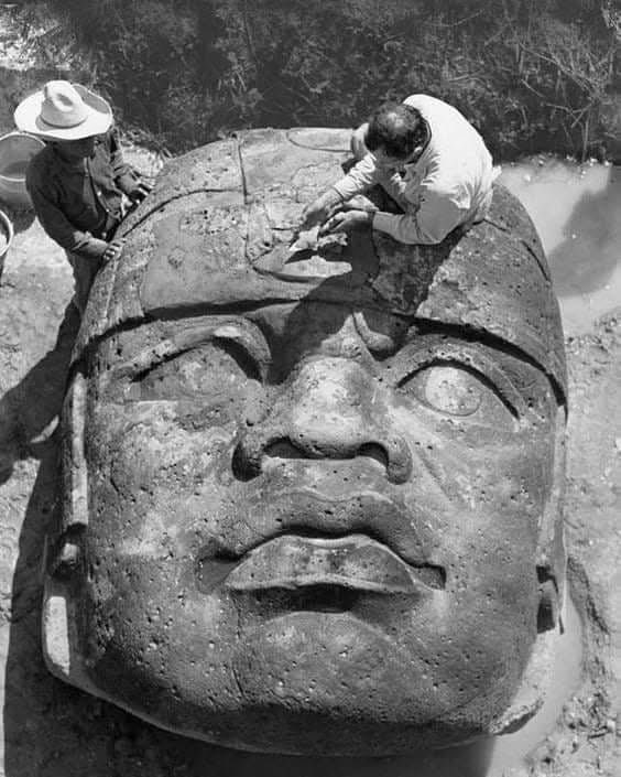 edificiosmayas's tweet photo. Los olmecas fueron la primera gran civilización de México. El nombre con el que hoy los conocemos se los dieron los mexica y significa “habitantes de la región del hule”. Hasta la fecha se desconoce el nombre con el que ellos mismos se designaron.

Vía: Xiu https://t.co/OolRH8yIFo