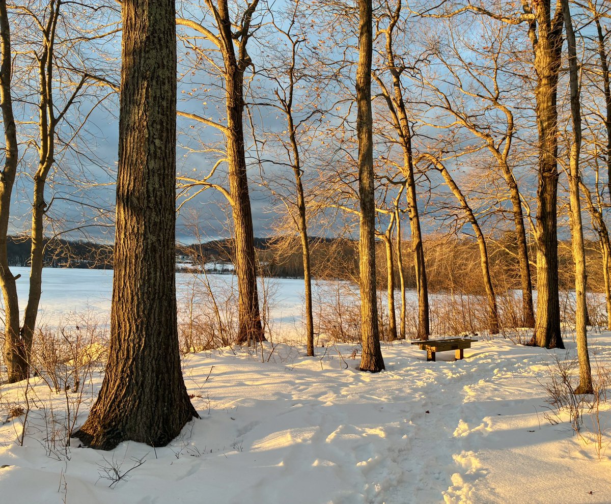 #WinterSun #getoutside