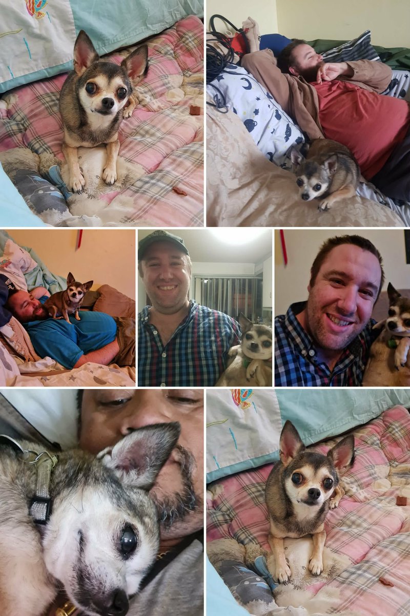 KTATAUS's tweet photo. KTAT with cute little Jemima, a Friend of mine was Daddy to Jemima, he spent countless years with Jemima until she died. Rest in Peace Jemima. 

#Memory #Dog #Human #X #Jemima https://t.co/wCTHFYK3fC