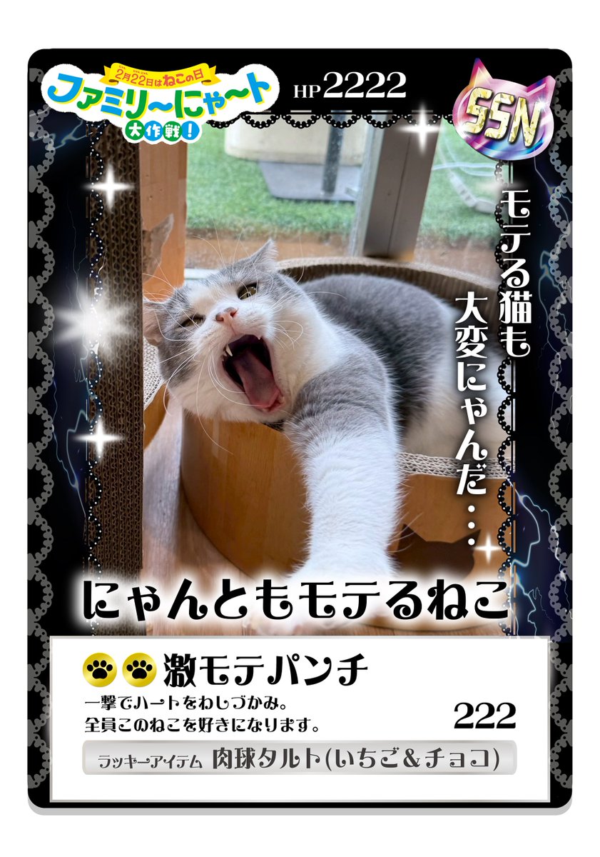 これが世界に1枚の激レアカード レアリティSSN ダブルスーパーねこ