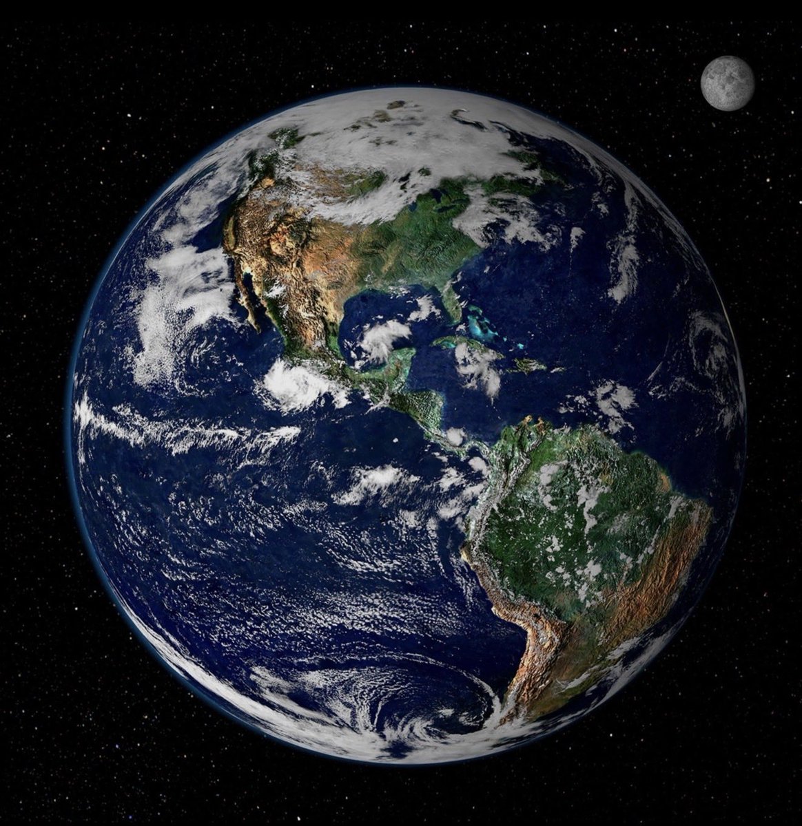 Rob Orr 🌈🌻🇺🇦🟧🇺🇸🏳️🌈 tweet media