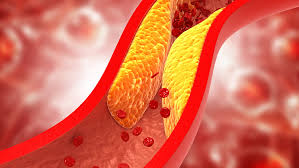 Igor Morr tweet media