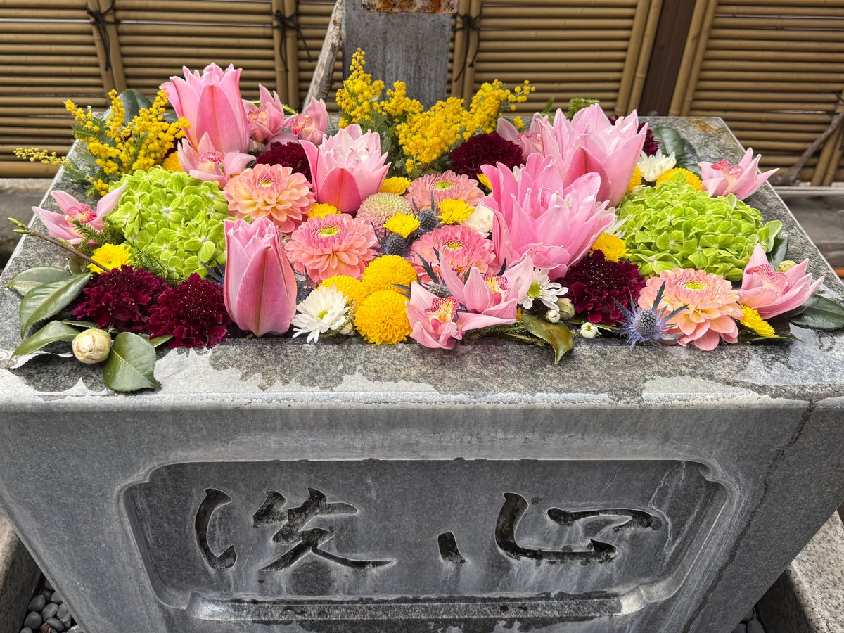 深川花手水2026早春】 本日より始まりました！門前仲町で花手水巡りを