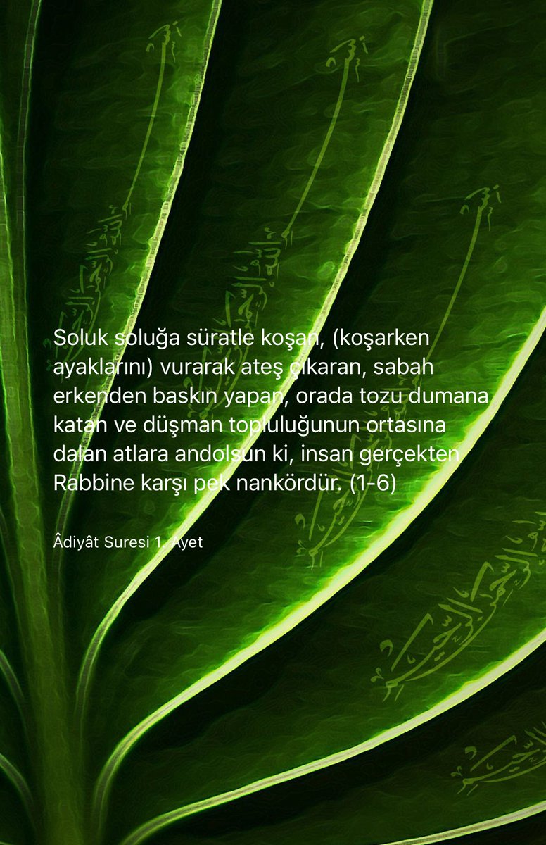 #Hayırlısabahlar #cumanın bereketi üzerimize olsun inşallah🤲 #Allah’ın rahmeti bereketi mağfireti hepimizin üzerine olsun inşallah🤲 #cumamız mübarek olsun selam ve dua ile.🤲🕋🤲🌹🌹