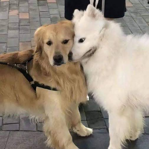 พี่วิโรจน์