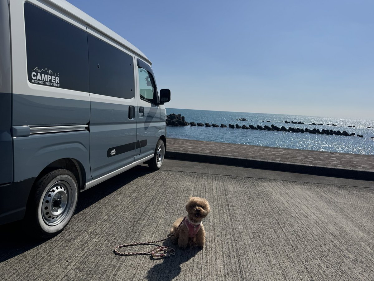 mametanku_copen's tweet image. 静岡県にお邪魔しております🚗³₃

本日のランチ🍺

いやぁ〰️
昼間のビールってサイコー過ぎる🍺∩(´^ヮ^｀)∩🍺

#khaoyai
#用宗漁港
#車旅