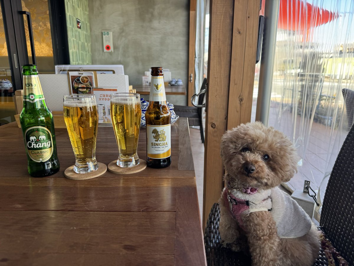 mametanku_copen's tweet image. 静岡県にお邪魔しております🚗³₃

本日のランチ🍺

いやぁ〰️
昼間のビールってサイコー過ぎる🍺∩(´^ヮ^｀)∩🍺

#khaoyai
#用宗漁港
#車旅